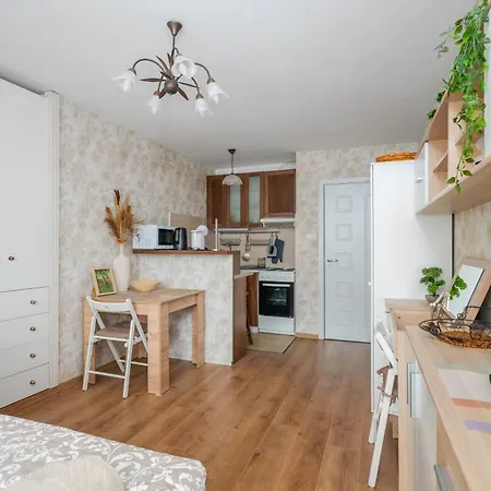 Apartamento Vitosha Boulevard *